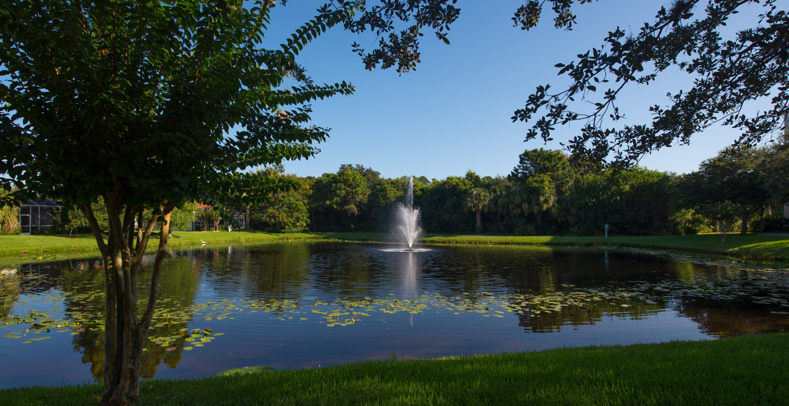 Refresh Your Body and Mind Outdoors