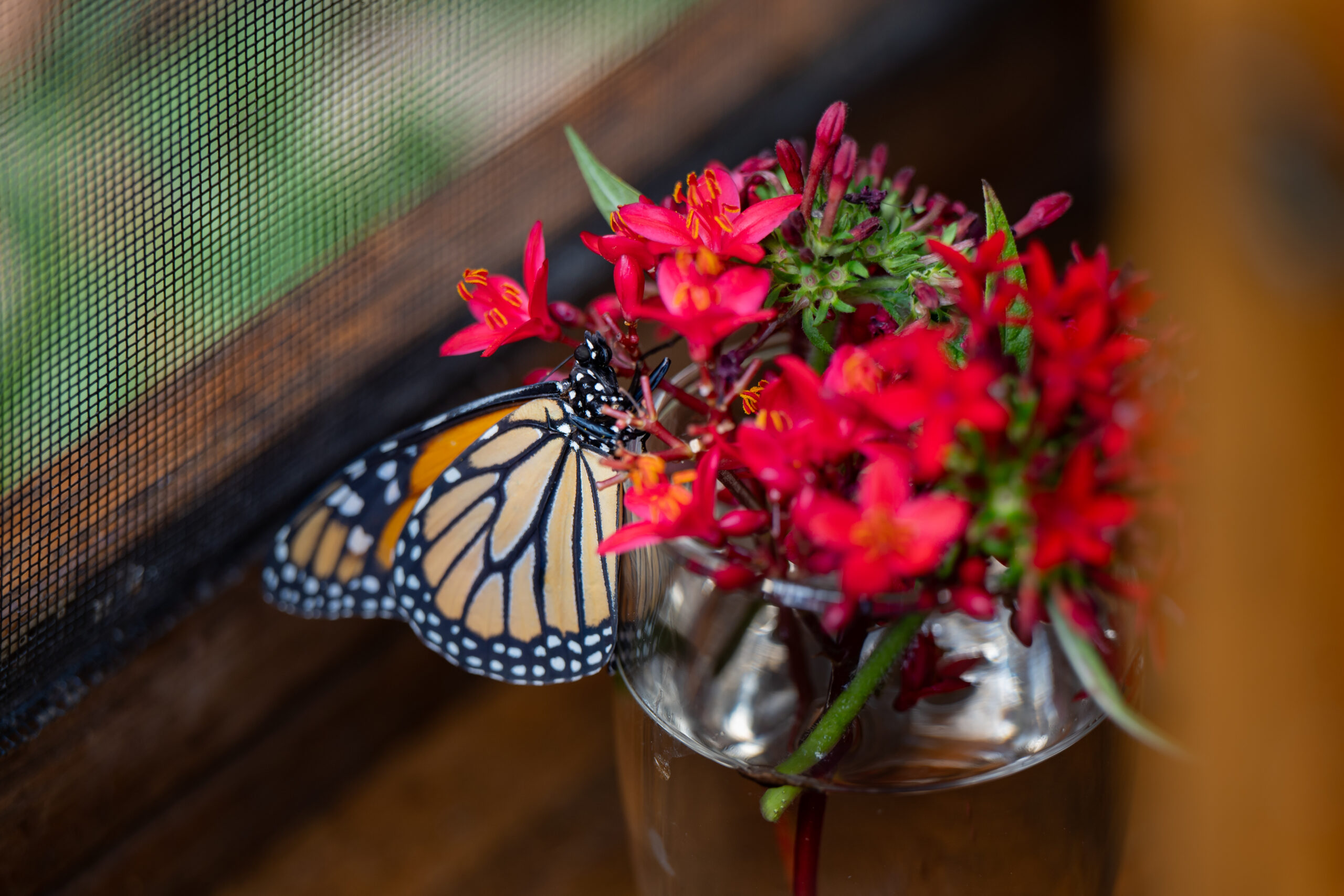 At The Glenridge, Nature Takes Flight